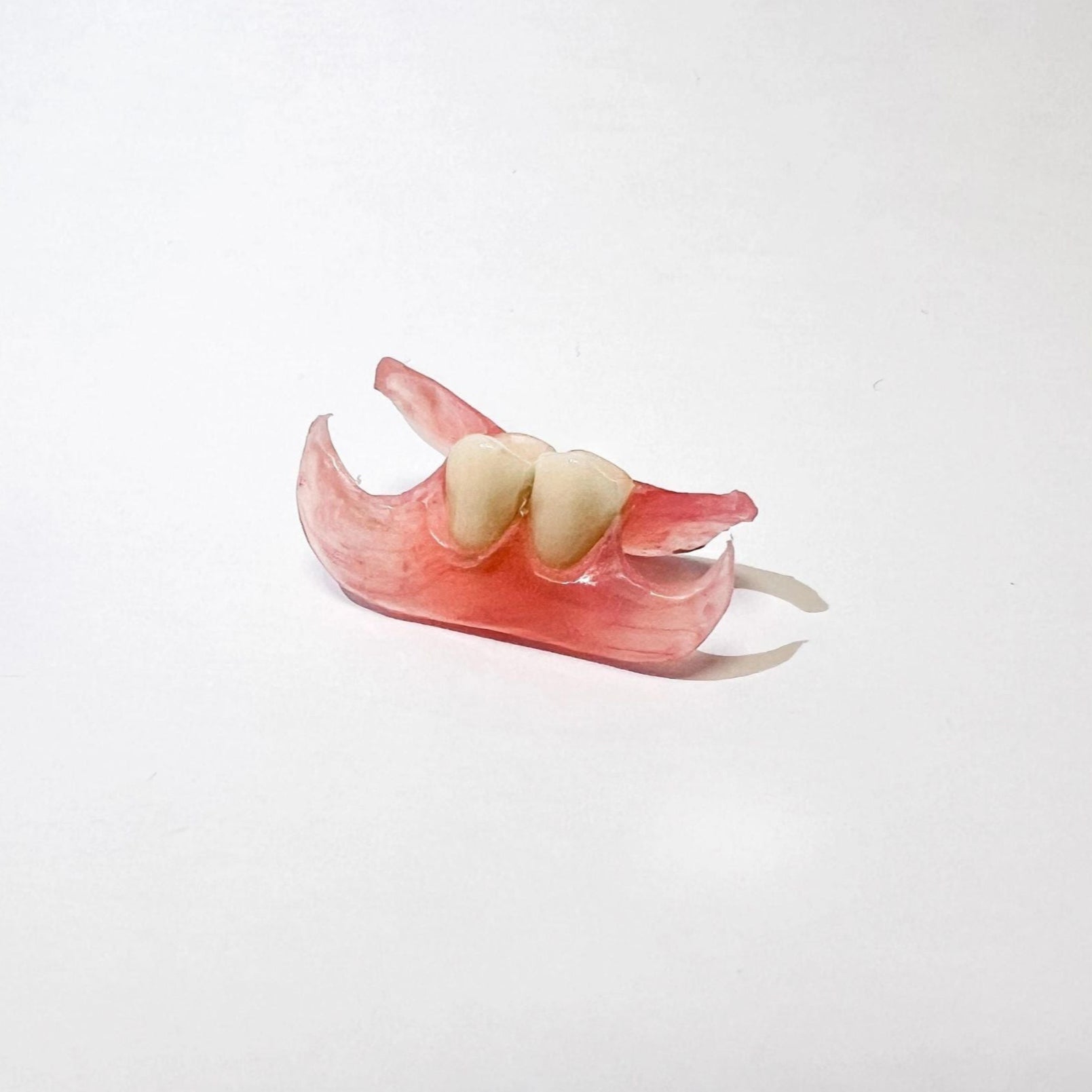 Denture Repair