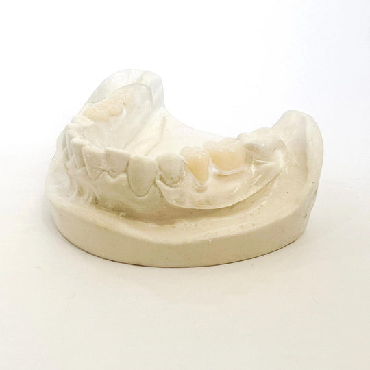 Dentadura parcial transparente y flexible