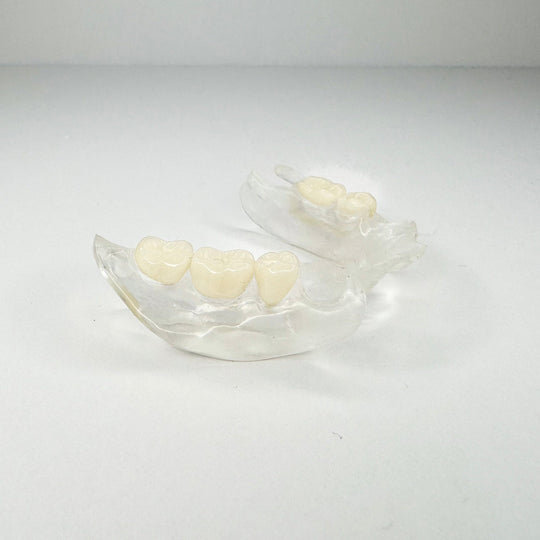 Dentadura parcial transparente y flexible