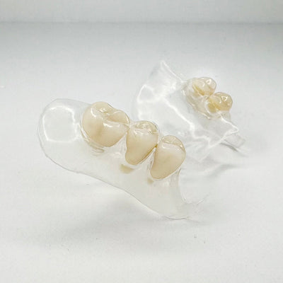 Clear Flexible Partial Denture