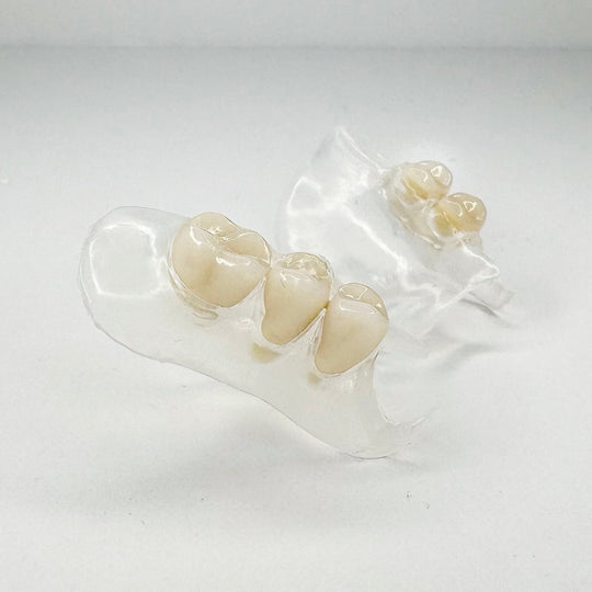 Dentadura parcial transparente y flexible