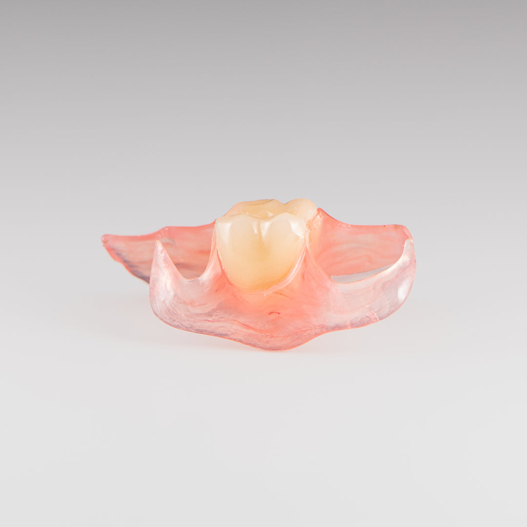 One-Tooth Unilateral Partial Denture on Gray Background