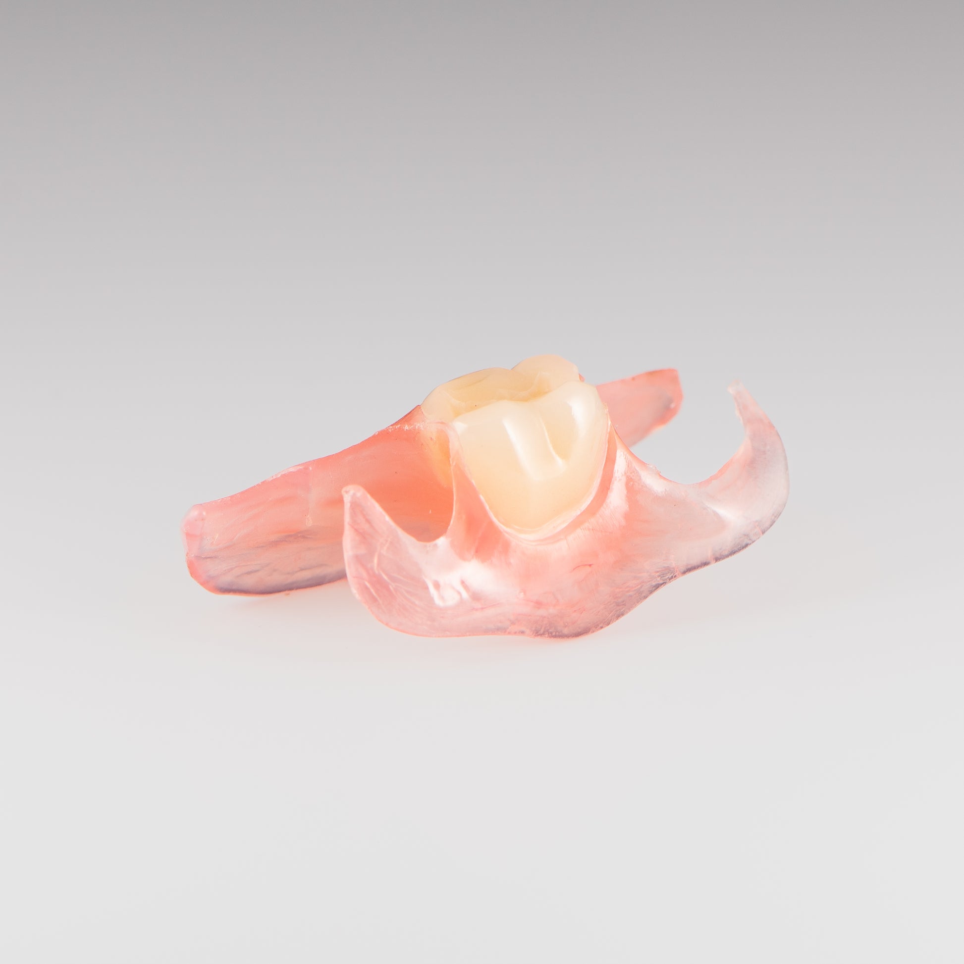One-Tooth Unilateral Partial Denture on Gray Background
