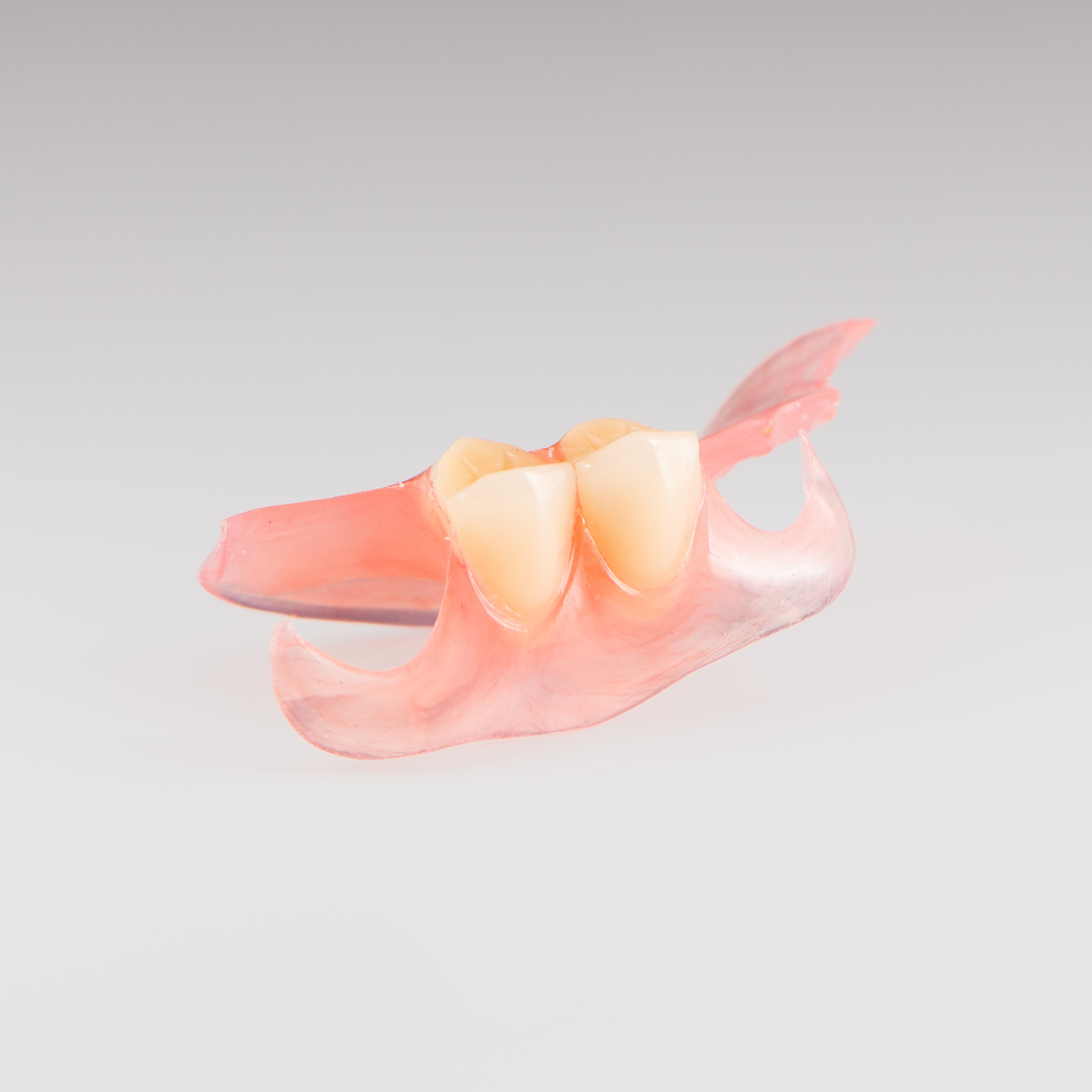 Two-Tooth Unilateral Partial Denture on Gray Background