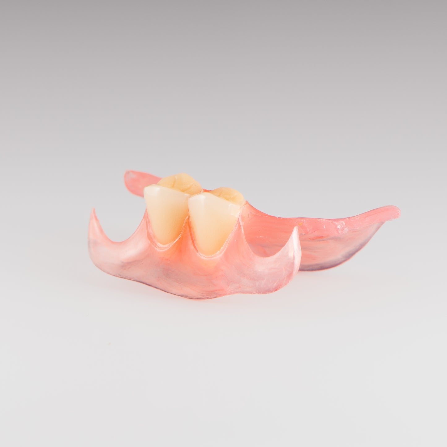 Two-Tooth Unilateral Partial Denture on Gray Background