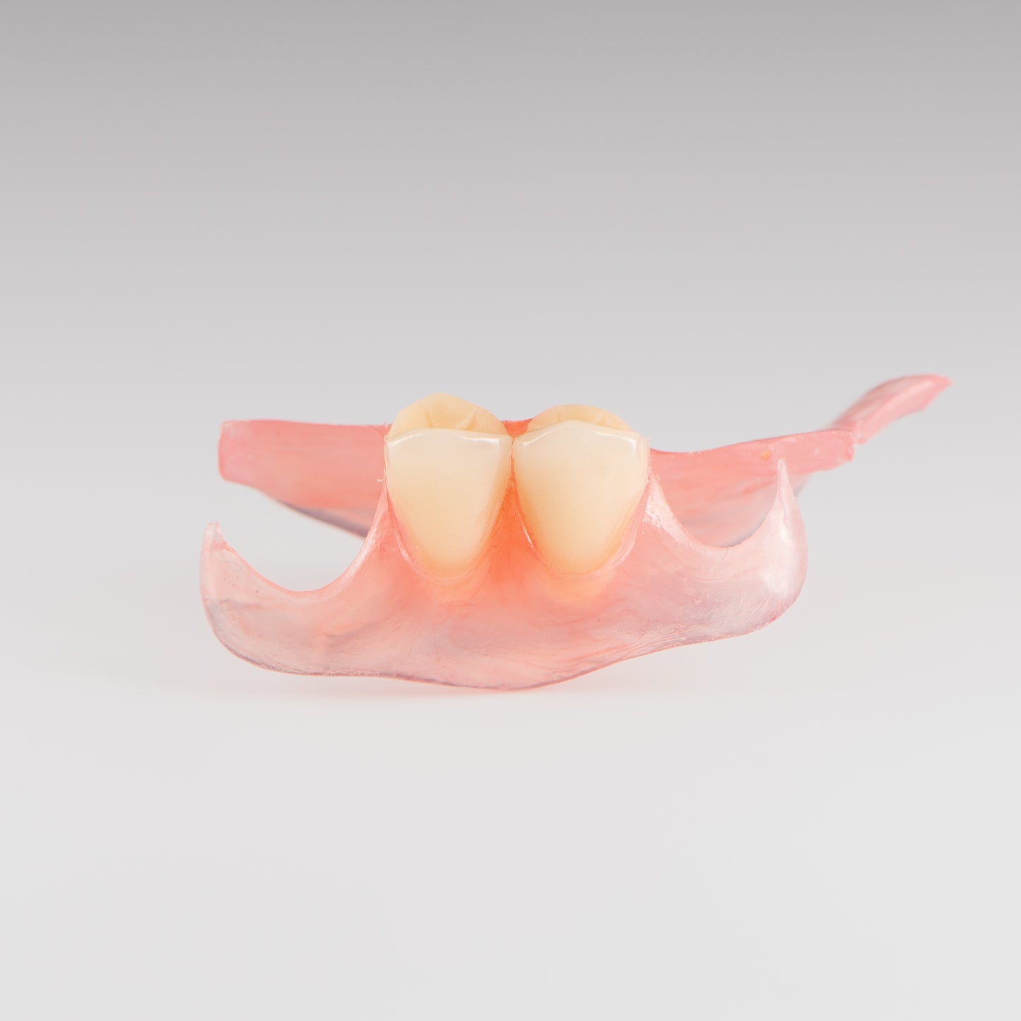 Two-Tooth Unilateral Partial Denture on Gray Background