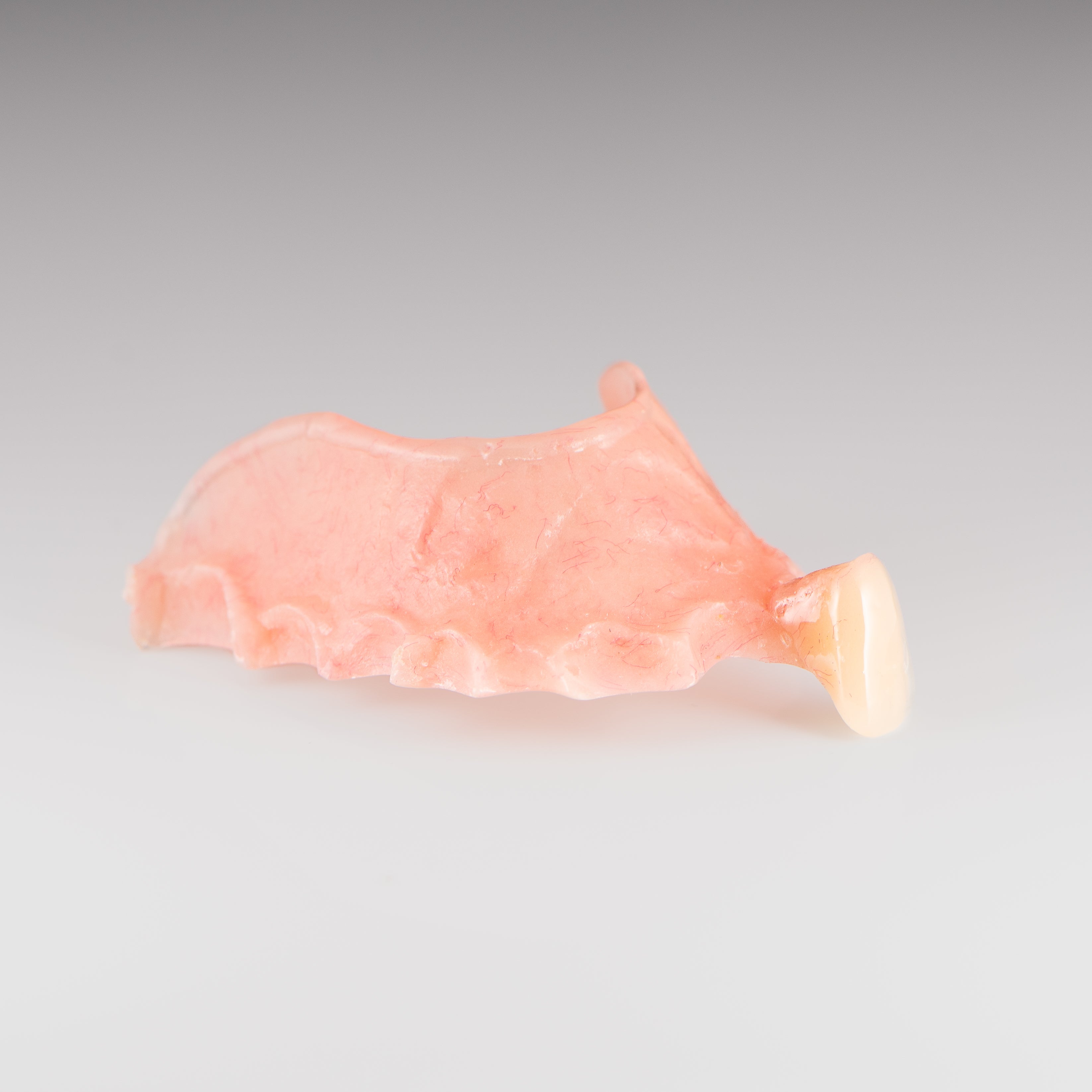 One-Tooth Acrylic Flipper Partial Denture on Gray Background