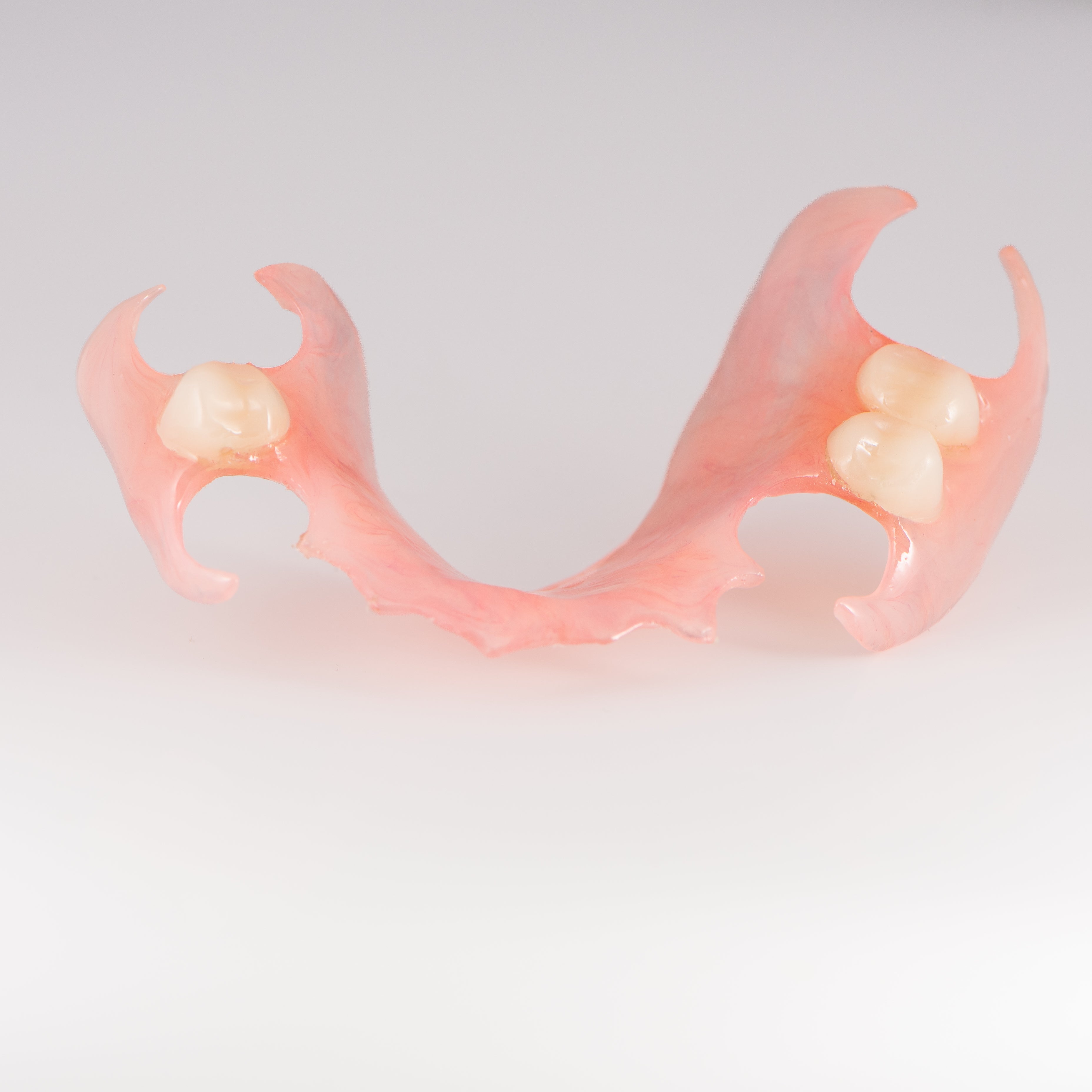 Flexible Partial Denture on Gray Background