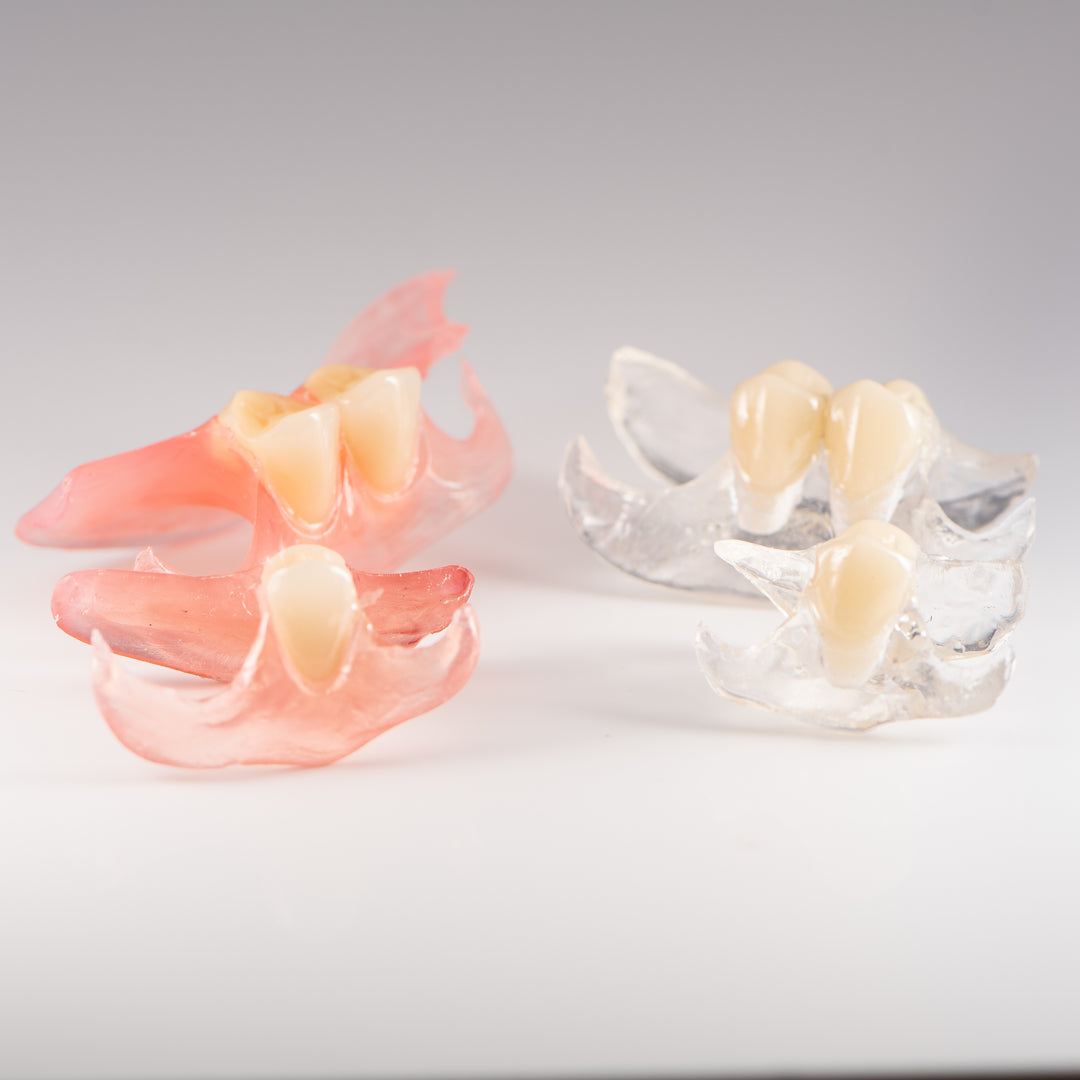 2 Clear Unilateral Partial Denture and 2 Unilateral Partial Dentures with Gray Background