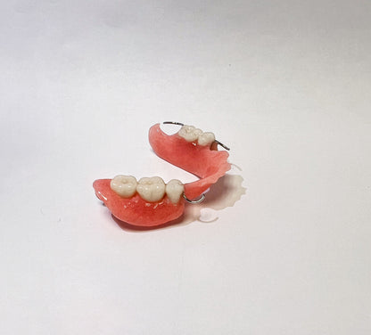 Dentadura postiza de aleta parcial acrílica