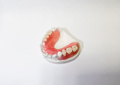 Dentadura parcial flexible