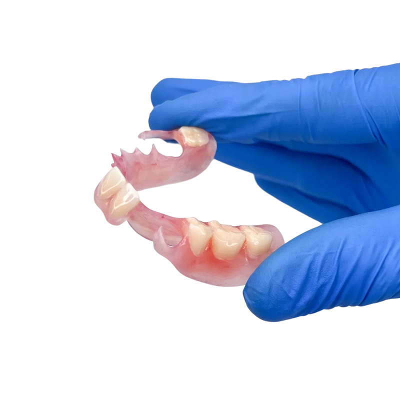 Gloved hands holding a flexible partial denture