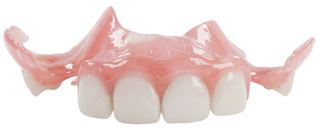 Dental model with pink gums and white teeth on a white background